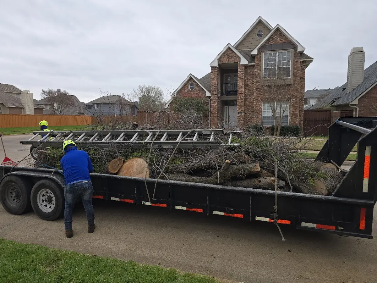 Expert Lot Clearing with proper safety equipment in Webbers Falls